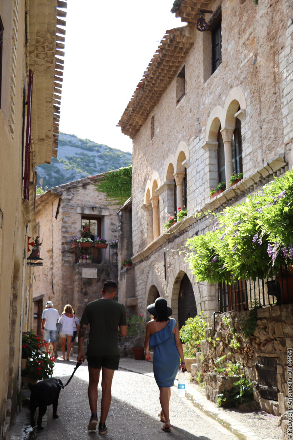 VISITE GUIDÉE SAINT-GUILHEM-LE-DÉSERT LE VILLAGE