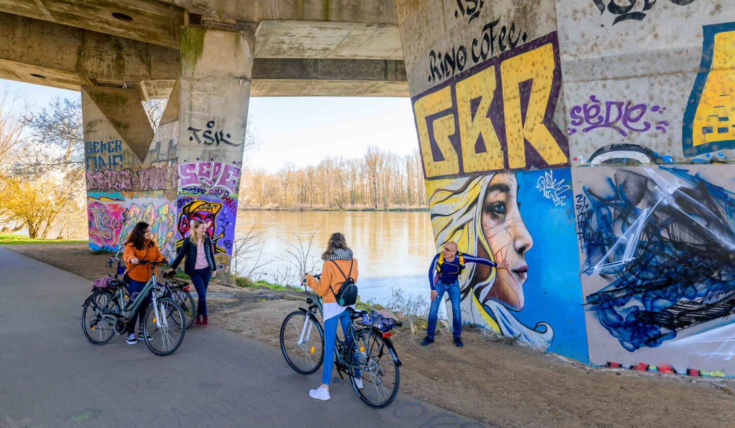 Visite guidée Street art à vélo
