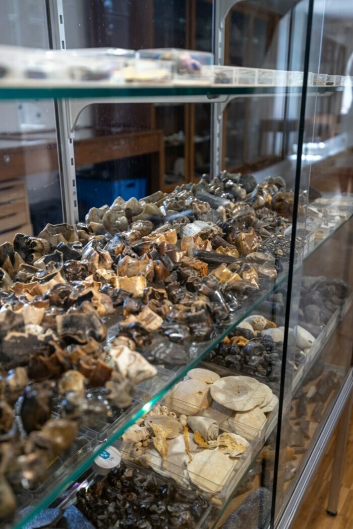 Visite libre des collections Musée Gaston Couté Meung-sur-Loire