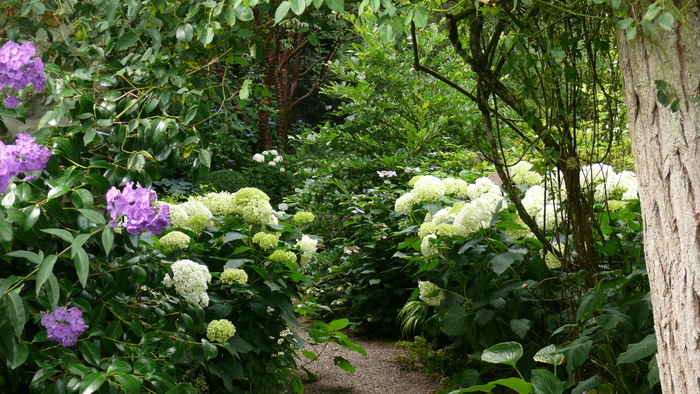 Visite libre du jardin Jardin retiré Bagnoles de l'Orne Normandie