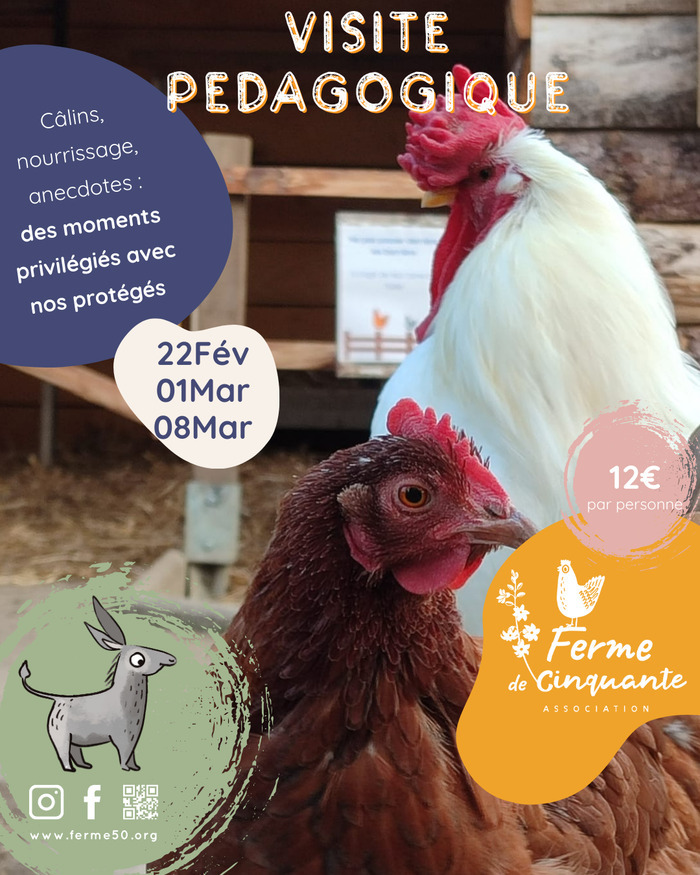 Visite pédagogique Association Ferme de 50 Ramonville-Saint-Agne