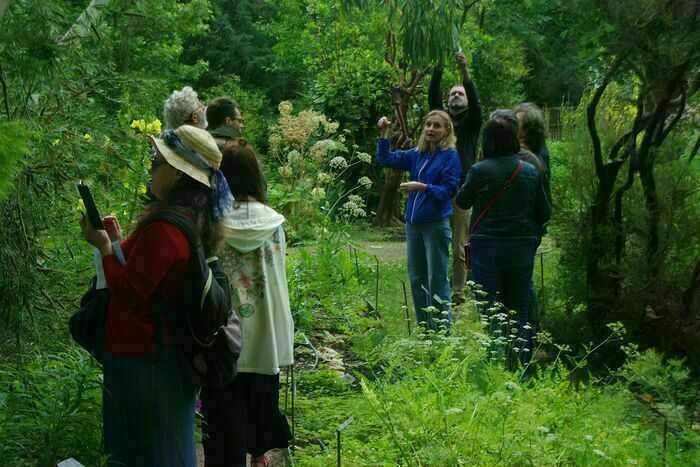 Visites guidées du jardin botanique de la faculté de santé d'Angers Jardin botanique de la faculté santé département pharmacie Angers