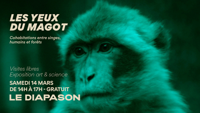 Visites Les Yeux du Magot Le Diapason - Université de Rennes Rennes