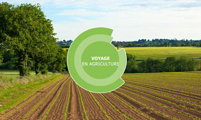 Voyage en agriculture autour de l'élevage bovin lait et porcin - Pays du Castelbriantais et de Redon (44) Chambre d'agriculture Pays de la Loire