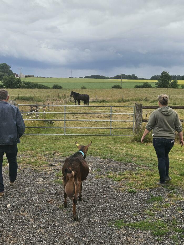 Week-end à la ferme - Territoire du Sud de l'Aisne Territoire du sud de l'Aisne Étampes-sur-Marne