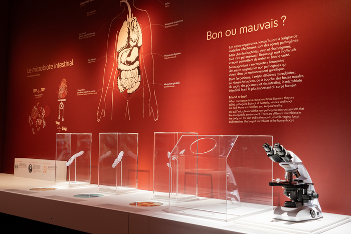 Zoom sur la collection avec une médiatrice Musée de sciences biologiques Dr Mérieux Marcy-l'Etoile