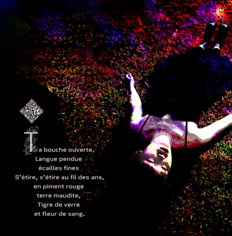 Mademoiselle Martine