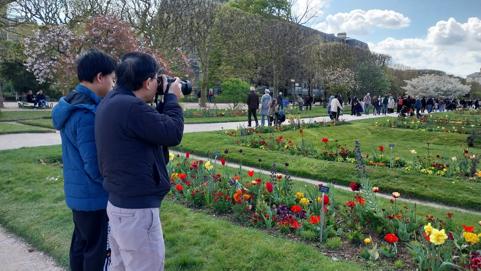 Visiteurs devant les floraisons du Jardin des Plantes