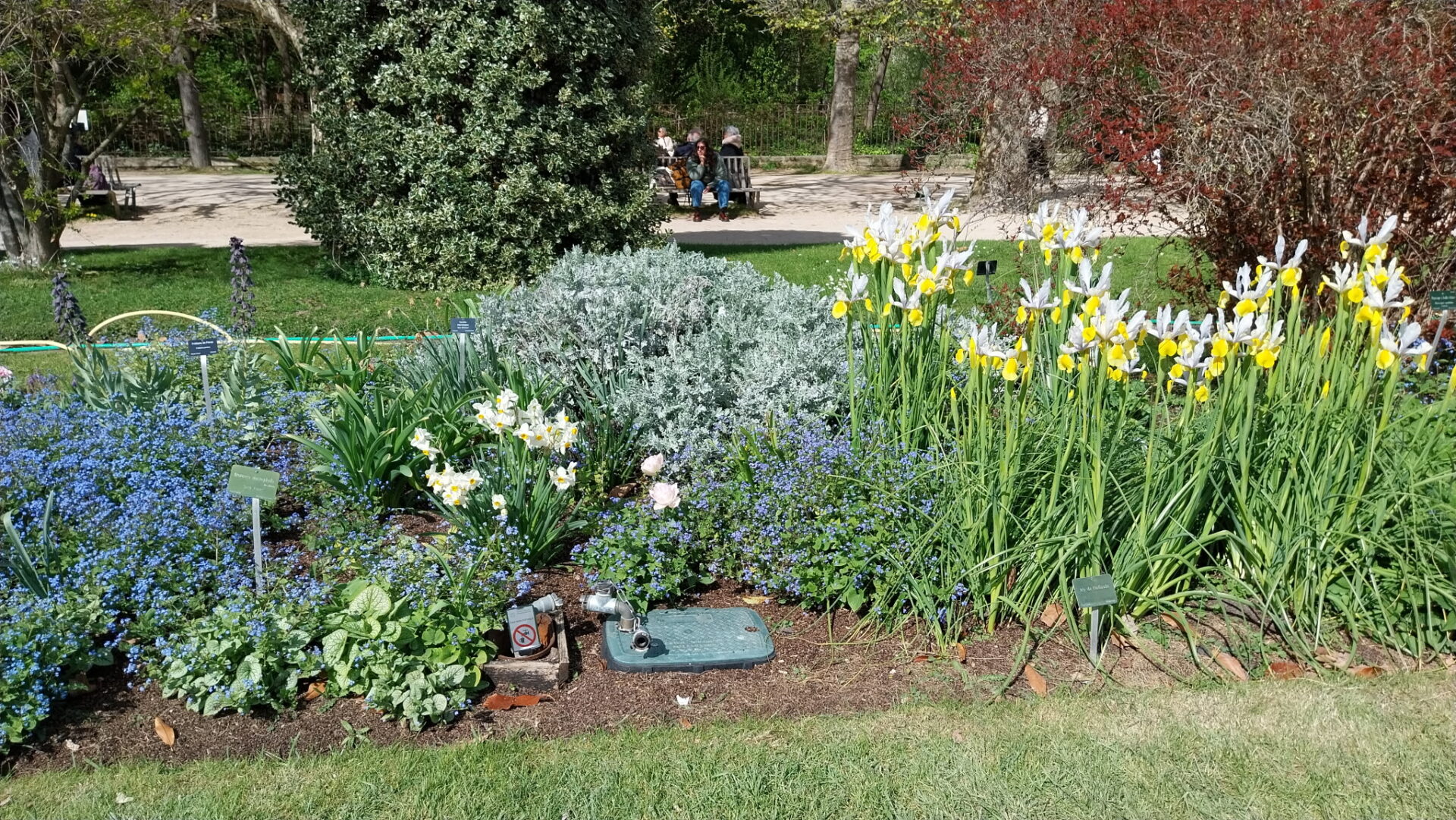 Promeneurs au Jardin des Plantes en mars 2026