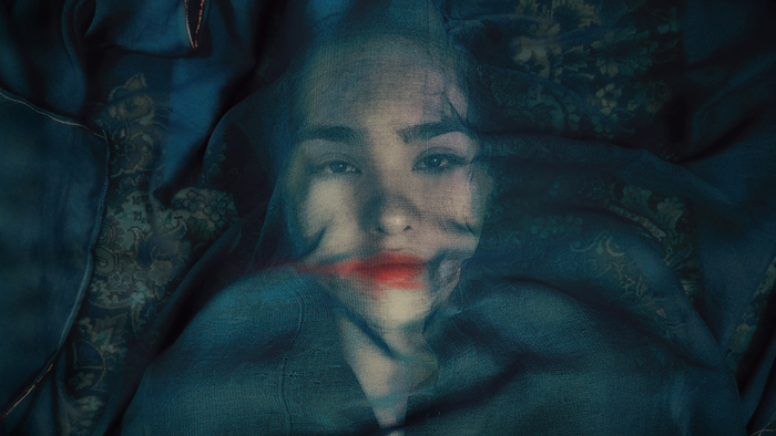 A Fox Under a Pink Moon Cinémas du Grütli Genève