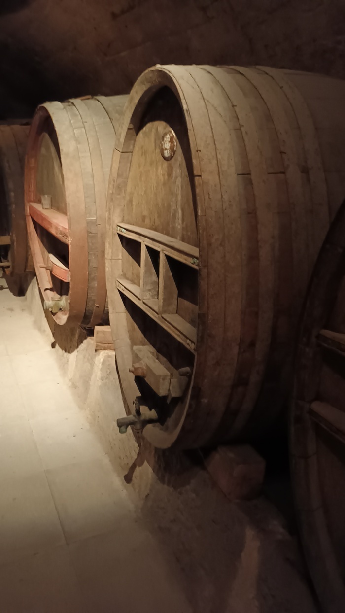 A la découverte des arômes du vin Musée de la vigne et du vin de Basse Auvergne Aubière