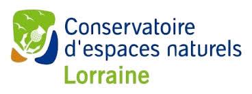 À la découverte des oiseaux 18 rue principale Insviller 2026-04-25