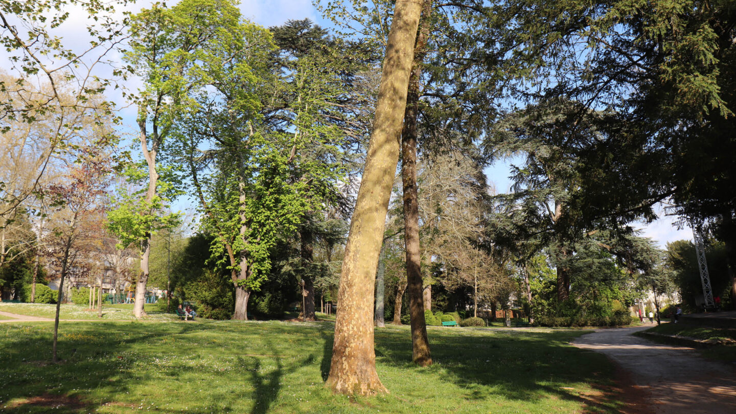 À la découverte des plantes comestibles Entrée du parc Gamenson Périgueux 2026-04-16