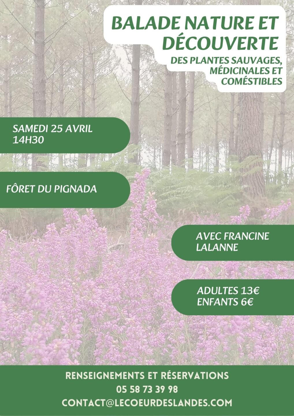 A la découverte des plantes sauvages, médicinales et comestibles avec Francine Plaine des jeux Pontonx-sur-l&rsquo;Adour