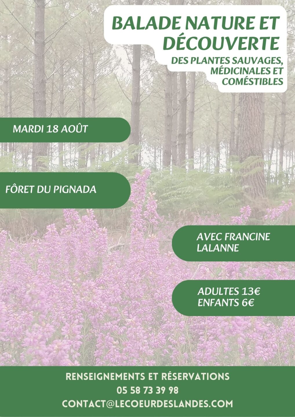 A la découverte des plantes sauvages, médicinales et comestibles avec Francine Plaine des jeux Pontonx-sur-l&rsquo;Adour