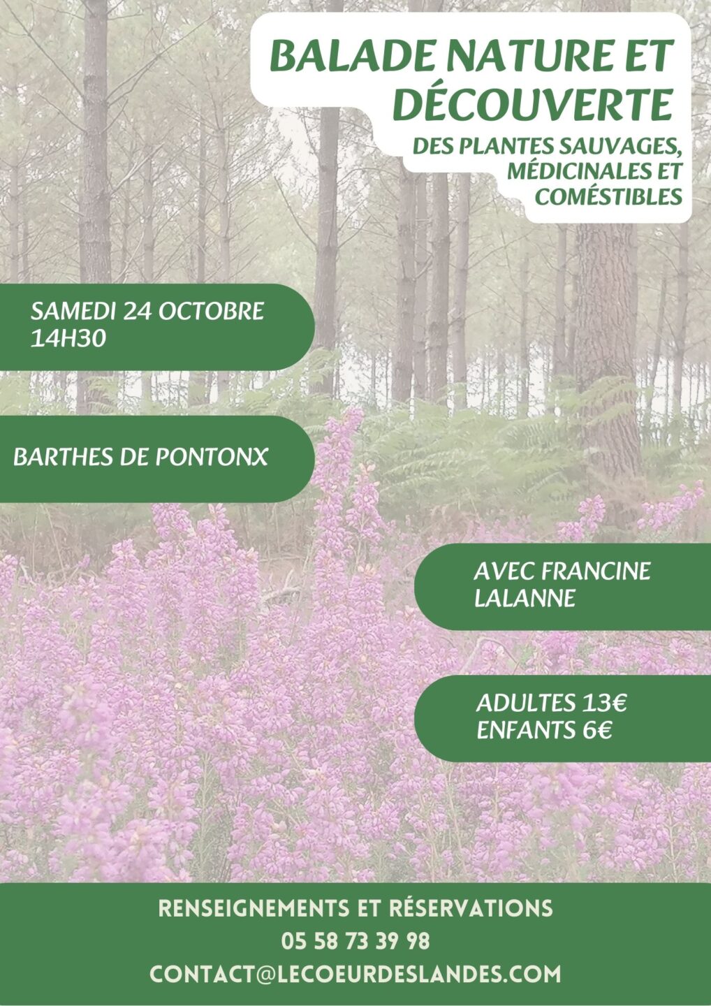 A la découverte des plantes sauvages, médicinales et comestibles avec Francine Rue des Barthes Pontonx-sur-l&rsquo;Adour