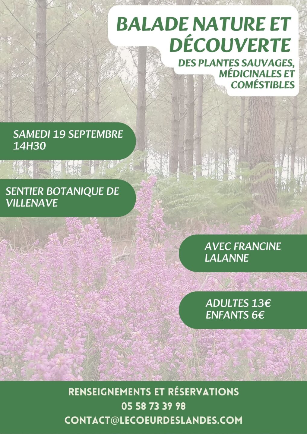 A la découverte des plantes sauvages, médicinales et comestibles avec Francine  Villenave