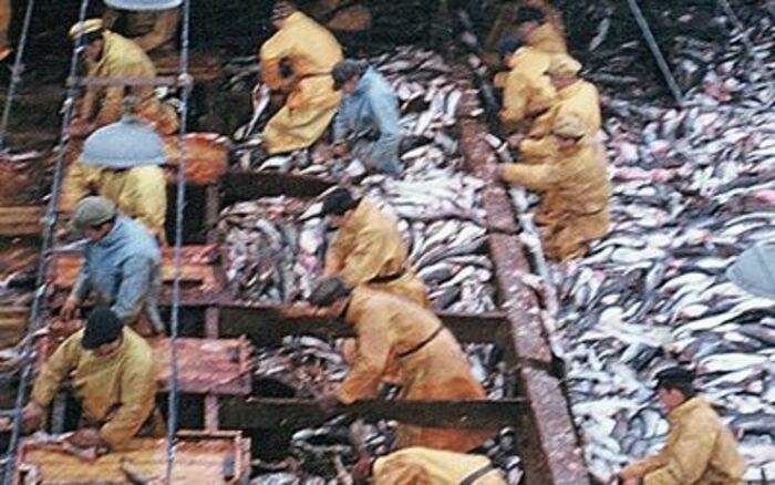 A la découverte des Terre-neuvas. Médiathèque de Fréhel Fréhel