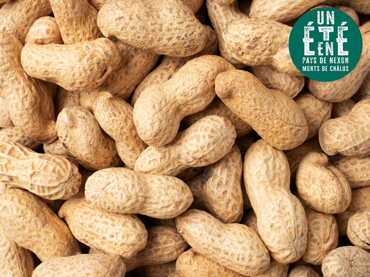 À la rencontre des artisans La torréfaction Cahu 1 allée des Sapins Bussière-Galant 2026-07-28