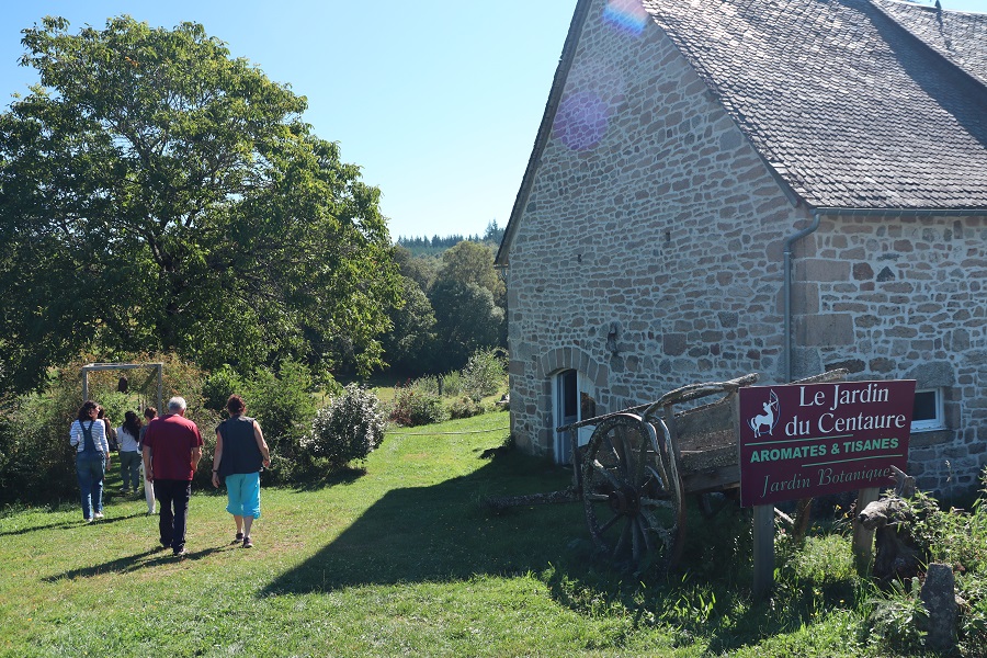 A la rencontre des plantes des sorcières
