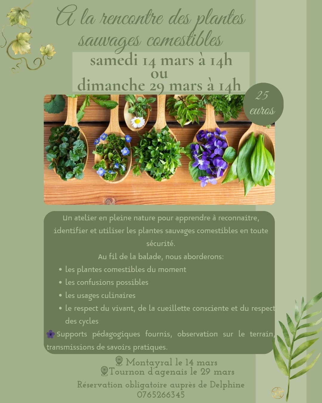 A la rencontre des plantes sauvages comestibles