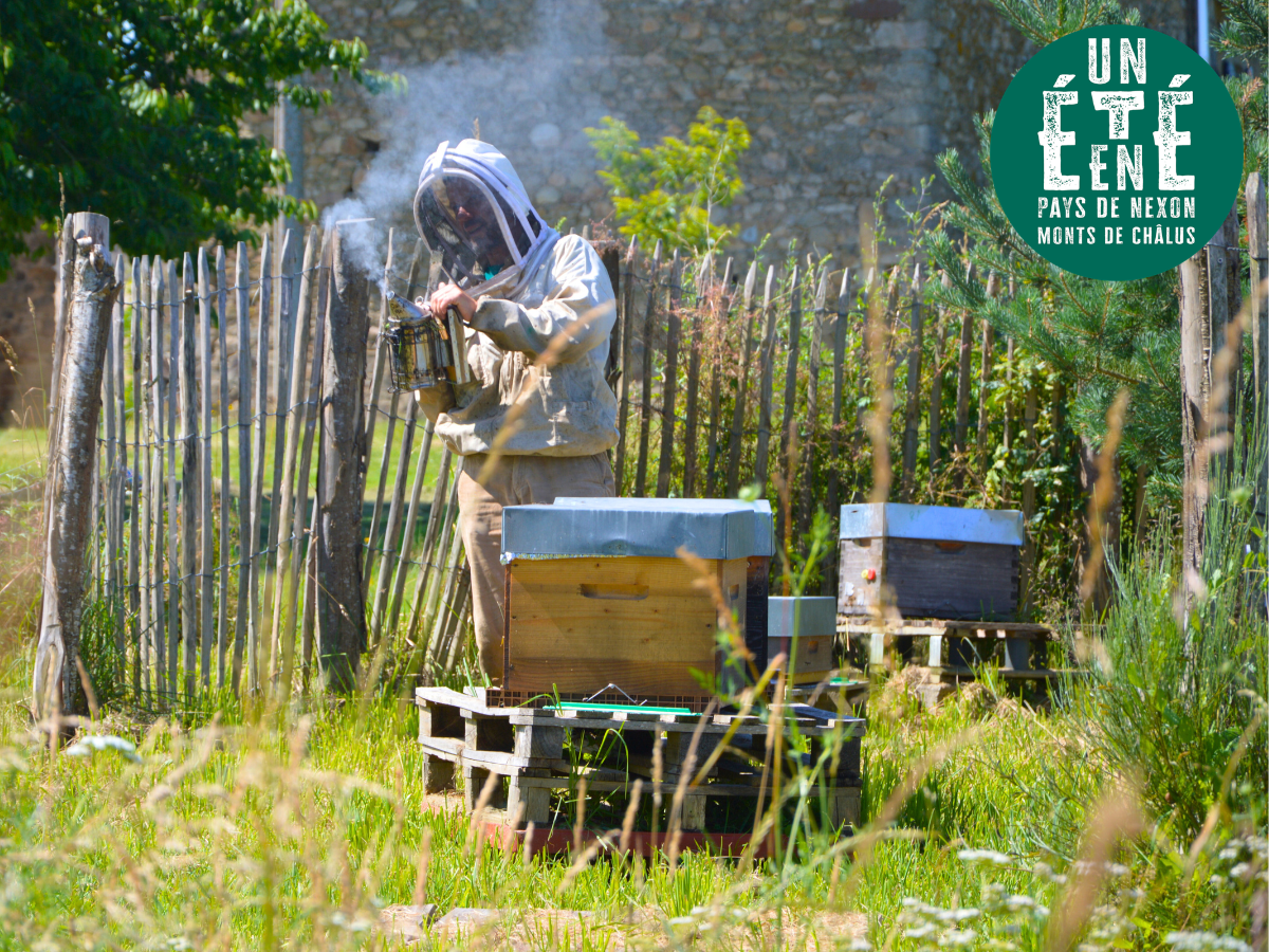 À la rencontre des producteurs La miellerie Paysages de Miels 1 Puy Renon Flavignac 2026-08-06
