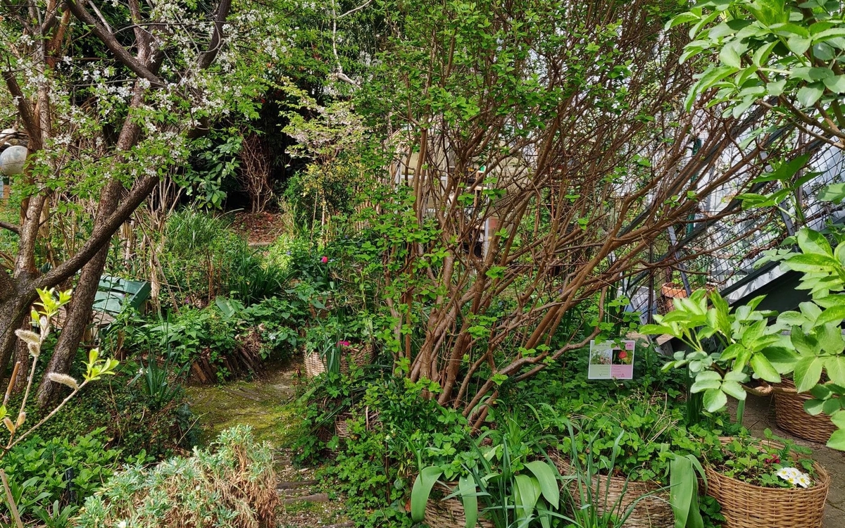 A la rencontre du jardin partagé de l'Univert Jardin partagé de l'Univert  Paris