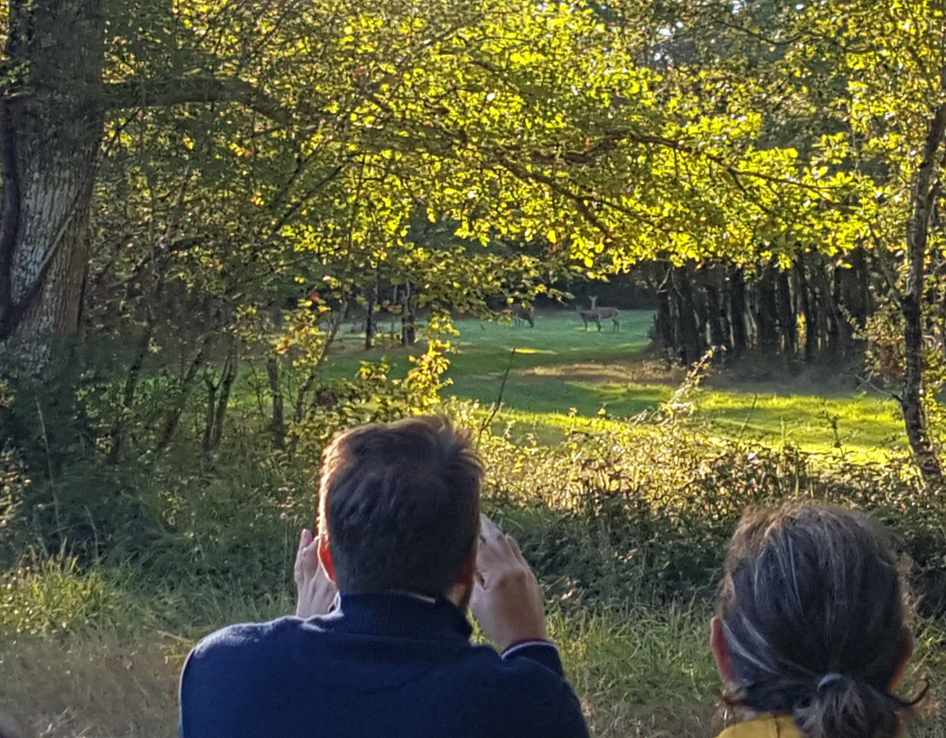 À l'affût des cerfs Place des tilleuls Méobecq 2026-09-11