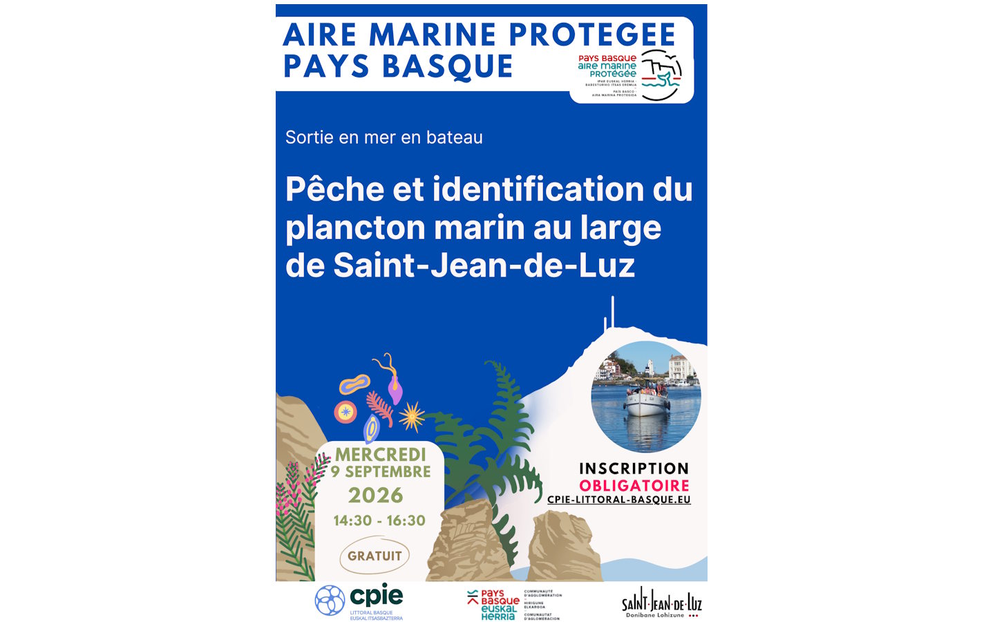 Aire Marine Protégée Pays Basque Pêche et identification du plancton marin au large de Saint-Jean-de-Luz. 2 Place Louis XIV Saint-Jean-de-Luz 2026-09-09