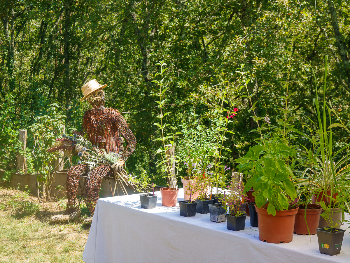 Allées ouvertes au Jardin Bourian Cantelougue Dégagnac 2026-06-07