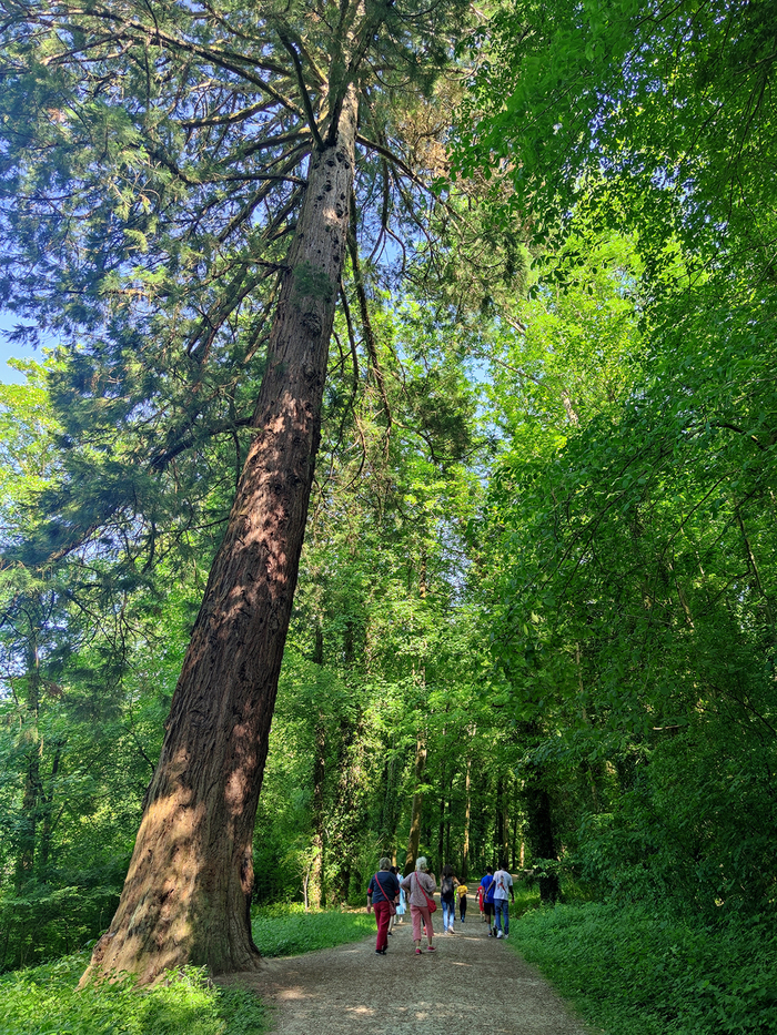 Allons voir le parc de Noisiel ! Grille d'honneur du parc de Noisiel Noisiel