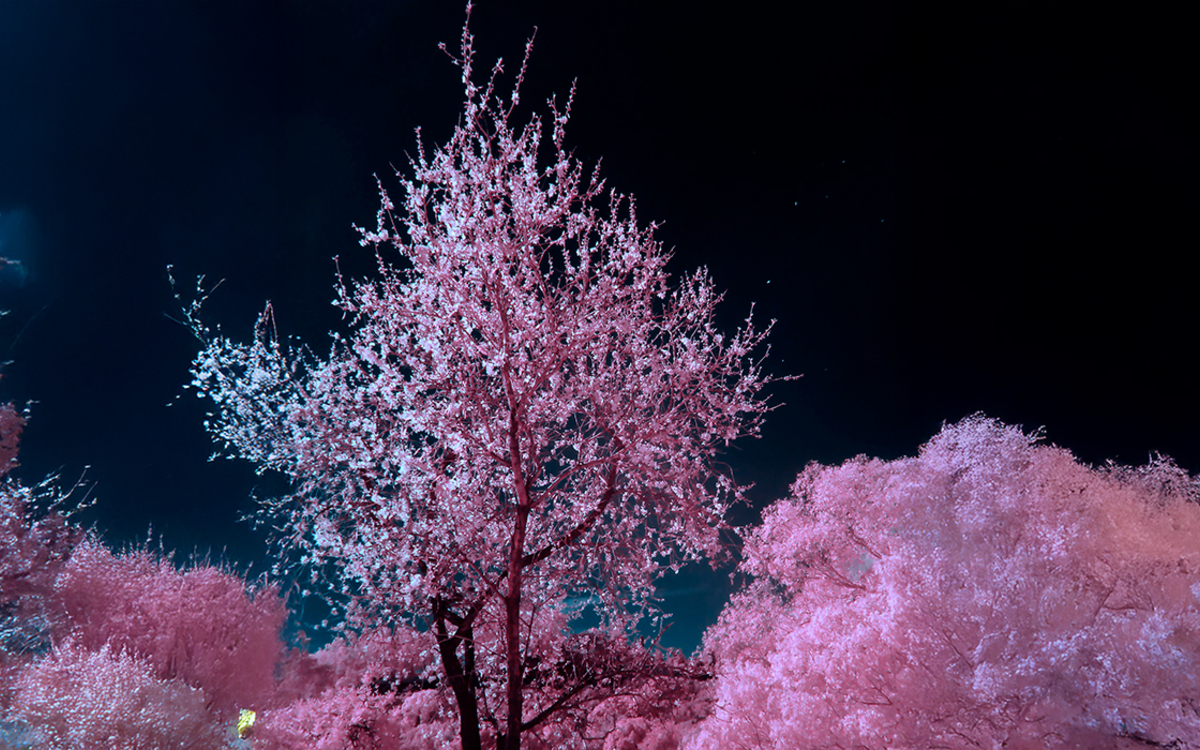 Amour Amour Conservatoire à Rayonnement Régional de Paris (CRR)  PARIS