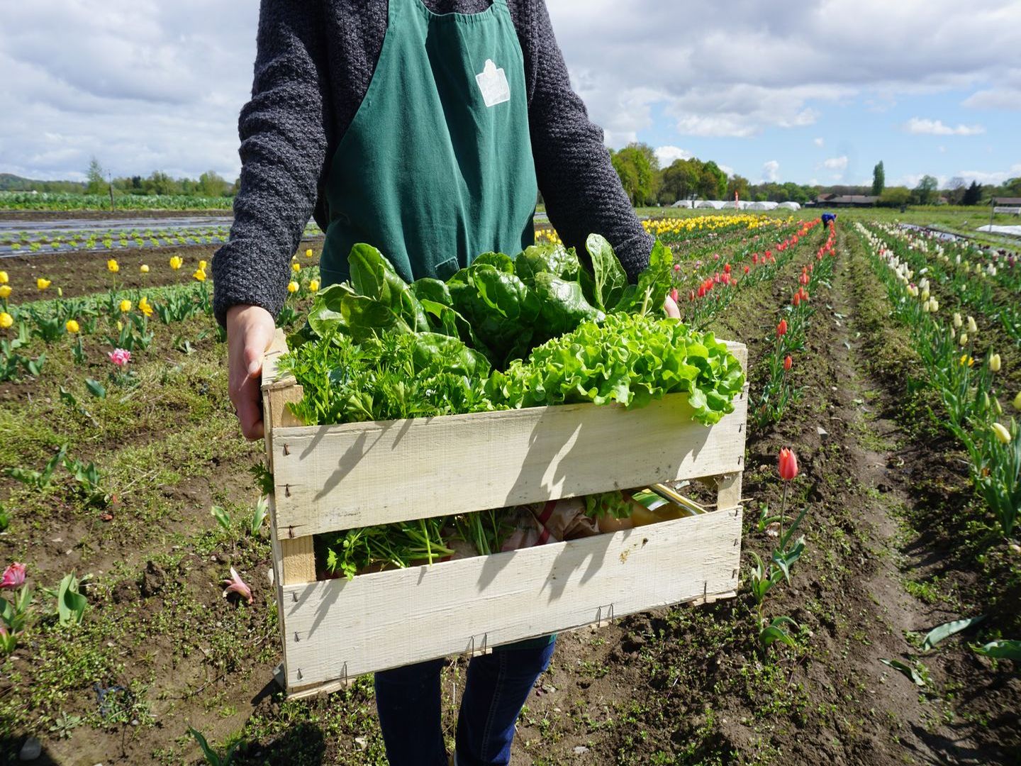 Animation à la Cueillette de L'Aragnon Chemin de la Forêt Bastard Montardon 2026-03-18