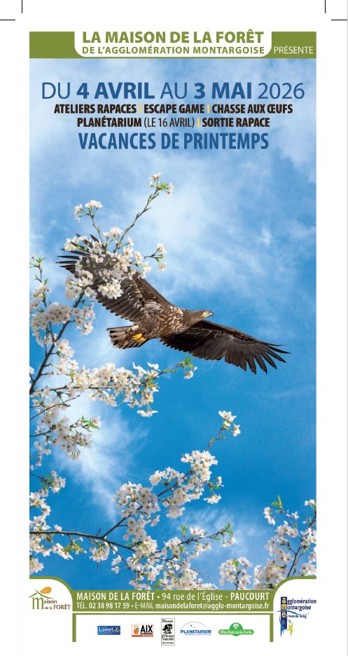 Animation Chouettes et Hiboux 94 Rue de l'Église Paucourt 2026-04-23