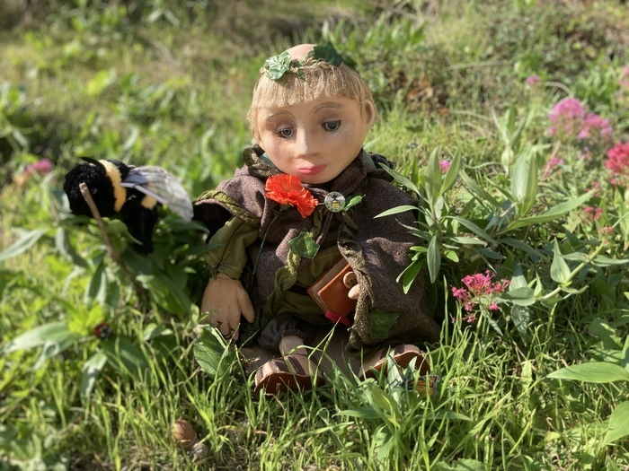 Animation jeune public : visite guidée animée "le jardin médicinal de petit Hyacinthe" Château de Caen Caen