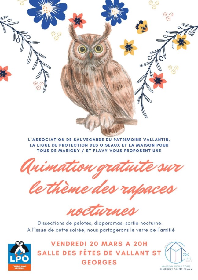 Animation sur les rapaces nocturnes à Vallant-Saint-Georges Salle des fêtes Vallant-Saint-Georges 2026-03-20