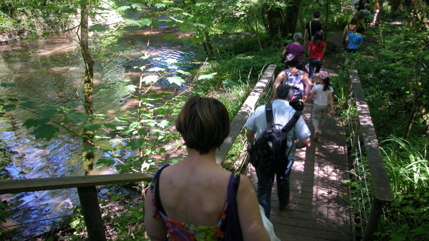 Anim'eau 17 Chemin de l'Église Saucats 2026-04-10