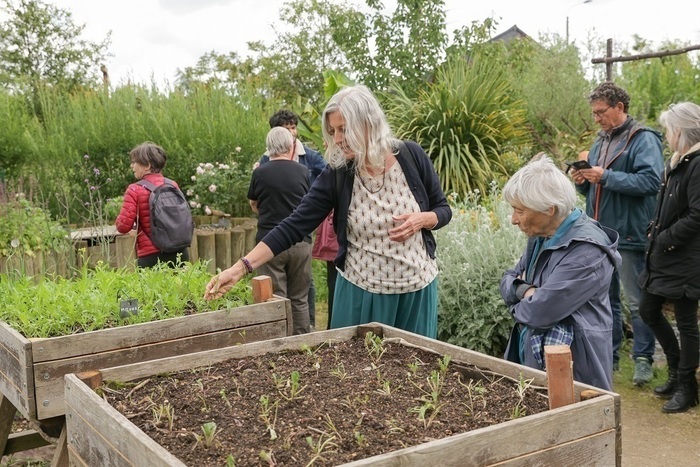 Apprendre à tailler et soigner ses arbustes et ses fruitiers Jardins familiaux des Gayeulles Cesson-Sévigné