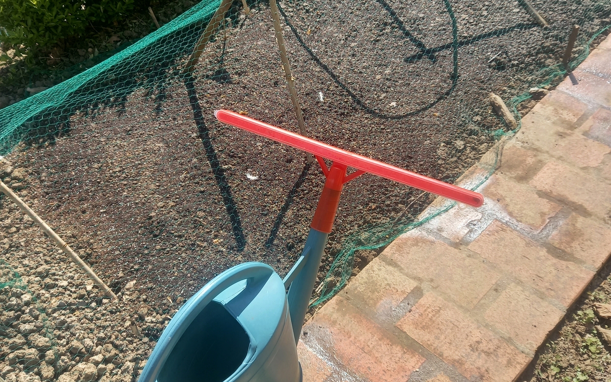 Apprenez à reconnaitre des plantes spontanées et semez des graines locales ! Maison du Jardinage et du Compostage PARIS