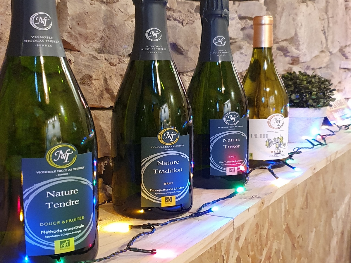 ARTISTES À SUIVRE 2026 VIGNOBLE NICOLAS THÉREZ ARTISTES À SUIVRE 2026 VIGNOBLE NICOLAS THÉREZ 2 route d’Arques Serres 2026-05-14