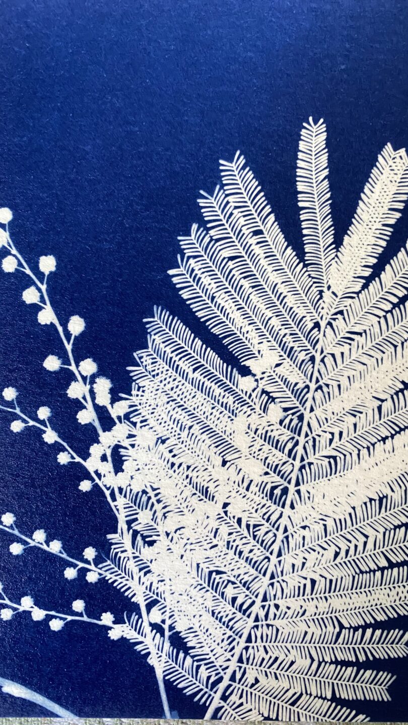 Atelier cyanotypes Avenue de Certes Audenge 2026-04-15