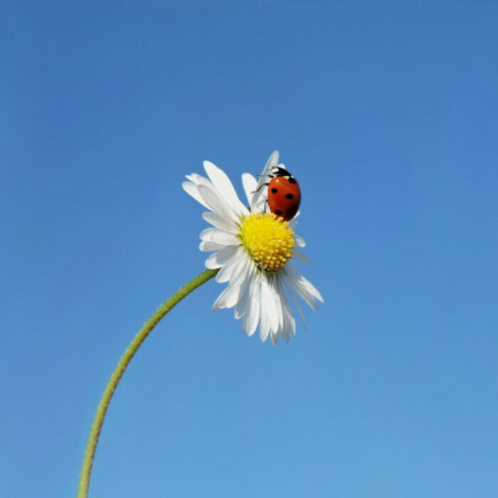 Atelier de bibliothérapie : les petits bonheurs Bibliothèque Capucins/Saint-Michel Bordeaux