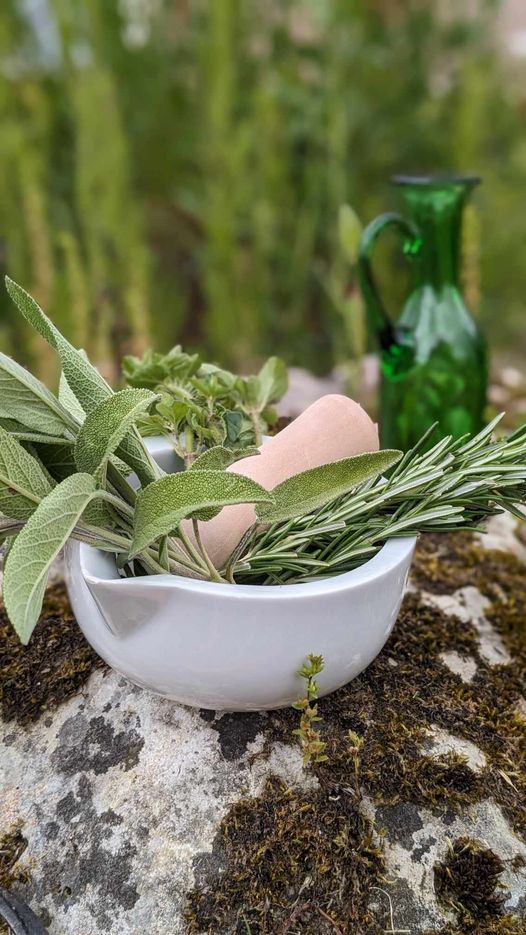 ATELIER DE CUISINE LE SEL D’APICIUS ATELIER DE CUISINE LE SEL D'APICIUS Au village Montmaurin 2026-04-23