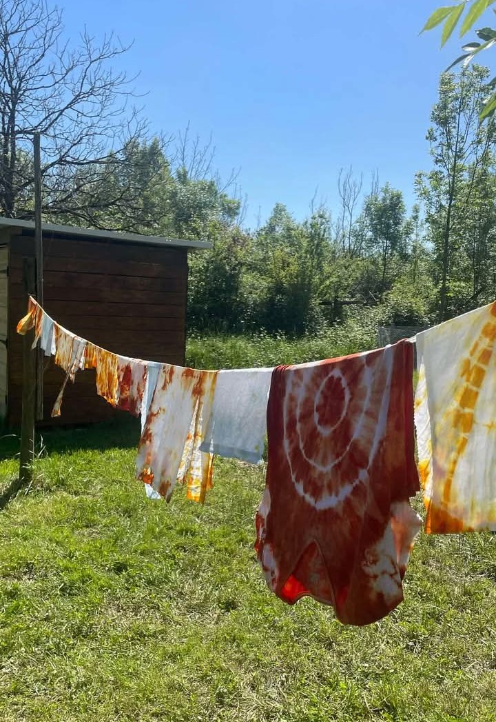 Atelier des p’tits curieux Immersion à la ferme Une palette de couleur pour les lapins et cochons d’Inde!! Ferme Pédagogique l’Empreinte Saint-Germain-de-la-Rivière