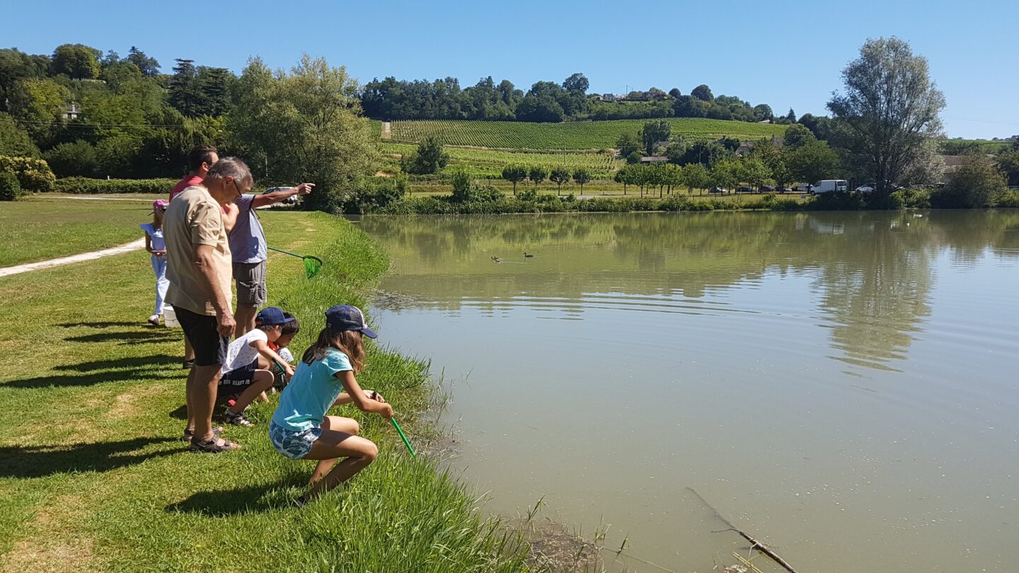 Atelier des p’tits curieux Les petites bêtes dans l’eau Office de Tourisme du Fronsadais Saint-Germain-de-la-Rivière