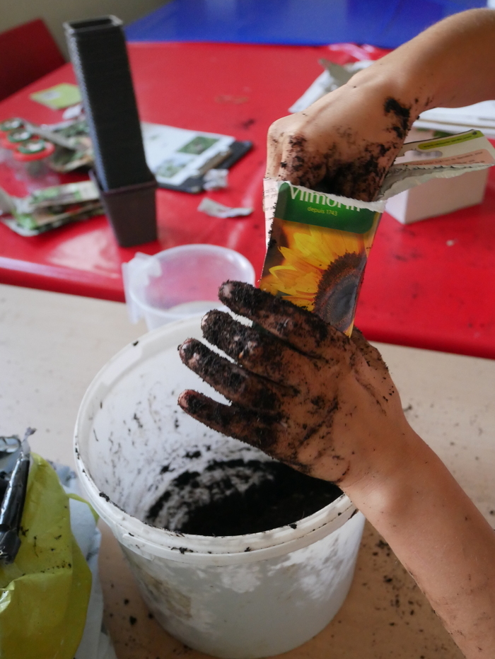 Atelier en famille - Histoire de la biodiversité Jardin du musée de l'Ancien Évêché Grenoble
