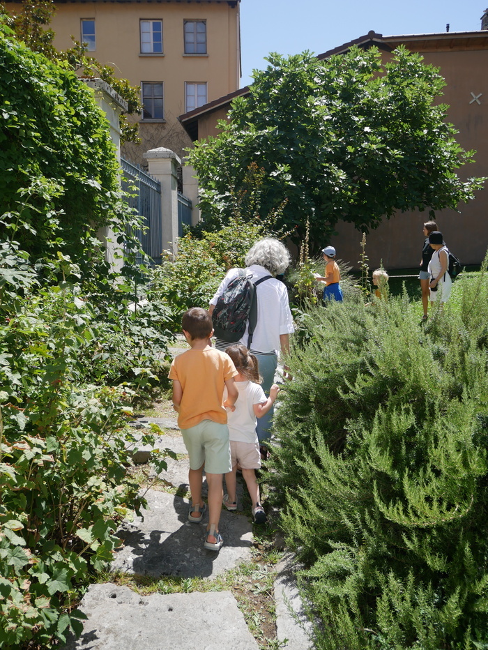 Atelier en famille - Pollinisateurs