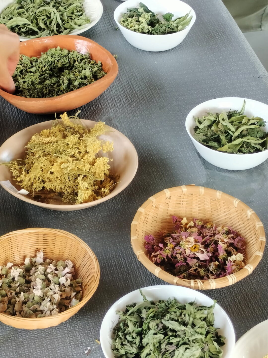 Atelier fabrication de tisane