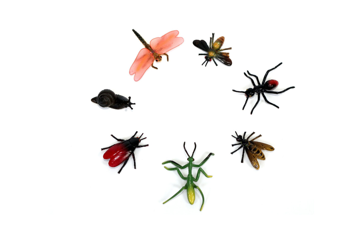 Atelier Fabrication d’insecte 297 avenue de l'Adour Anglet 2026-04-18