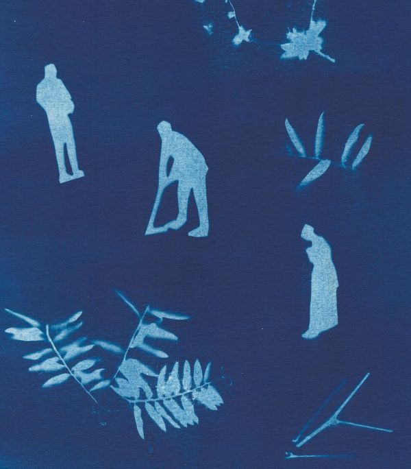 Atelier famille studio cyanotype GREVILLE-HAGUE La Hague 2026-04-29